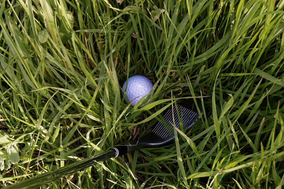 golf ball in rough