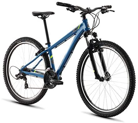 raleigh talus
