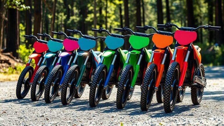 dirt bike weights comparison